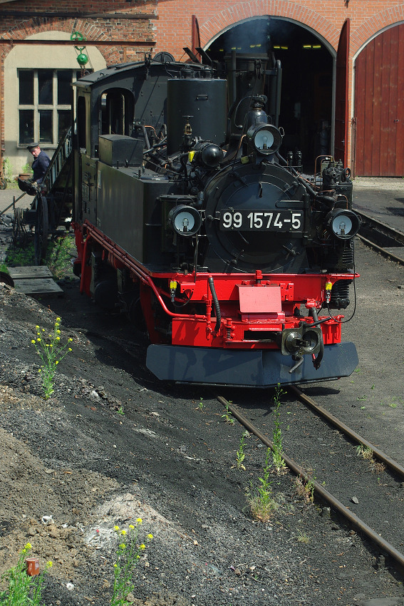 IMGP1245